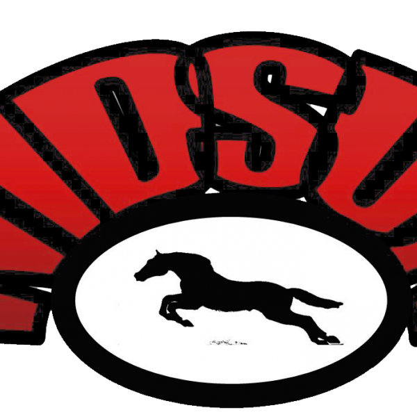 NidSun Wellness Body Measurements & Net Worth Breakdown (2025 Update)
