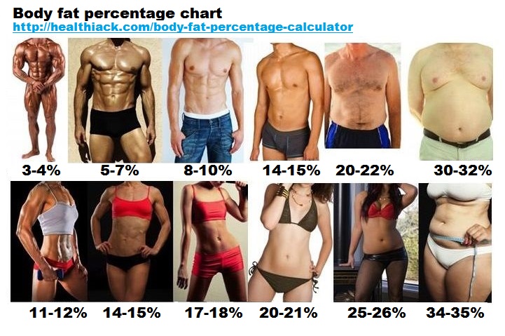 Body Fat Percentage Chart For Men & Women (With Pictures) - Fabulous Body